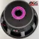 (Price 1 flower/125oz magnet) 15 inch speaker, Proplus AS951, 15 inch speaker, Voice 4 inches, 15 -inch speaker, lining ...
