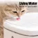 Xiaomi Mi Smart Pet Water Dispenser 2L น้ำพุสัตว์เลี้ยงอัจฉริยะเสี่ยวหมี่ การกรอง 4 ชั้น ที่กรองสารตกค้างได้ ระบบการไหลเวียนของน้ำแบบน้ำพุ น้ำพุแมว