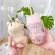 Water Bottle Cute Personality Cat Plastic Cute Cartoon Ins Photo Posing Creative Straw Cup Office School Home