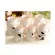1pc Novelty Cute Cow Animal Milk Mug Ceramic Coffee Porcelain Tea Cup Nice S Nd 019