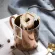 A Home Decoration Stainless Steel Mug Cup Plated Milk Tea Cup Golden Funny Mug 400ml Grandparents S