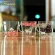 Japanese Sakura Glass Coffee Mug Cute Cat Rabbit Tea Mug 280ml Heat Resistant Glass Tea Cup Maid Coffee Cup Drinkware
