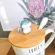 Korean Style Creative Cartoon Mug Cute Personalized Cup with Lid Spoon Home Breakfast Milk COUL CUP TEA GLASS CUP