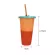 5pcs Reusable Color Changing Cold Cups Magic Plastic Coffee Mugs Water Bottles with Straws Set for Family Friends Cup