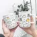 400ml Creative Cat Ceramic Mugs Cute Cartoon With Lid With Spoon Cup Literary Small Fresh Coffee Mug