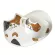 1 Set Lovely Cat Ceramics Cup Delicate Cup Cup Saucer