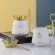 300ml Creative Ceramic Cup With Crown Design Lid Coffee Milke Mug Home Office Breakfast Drinkware Luxury Wedding Birthday S