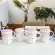 Light Light Luxury Painted Gold Ceramic Mug Korean Style Pink Mugs Sakura Coffee Cup Creative Mugs Business Office Drinkware