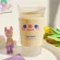 450ml Cute Frosted Glass Cup Coffee Milk Breakfast Cup With Spoon And Lid Portable Non-Slip Mugs Coffee Drinking Cups
