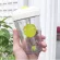 Anti-Scald And Drop-Resistant Double-Layer Coffee Cup Water Cup 320ml/420ml Trend Creative Clamshell Straw Plastic Mugs With Lid