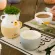 350ml Ceramic Mugs Cute Animal Chindren Breakfast Coffee Milk Mug with Cover Cup Fox Puppy Kitten Raccoon Piggy Polar Cup
