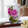 700ml Procelain Coffee Mugs Cups Cops Cover Large Capacity Handpainted Drinkware SEND SPOON