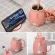 420ml/500ml Cartoon Cat Cat Ceramic Water Cup with Wooden Lid Spoon Milk Tea Mugs Home Children Cup Set Drinkware S