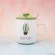 Coffee Mug Set Cute Cup Ceramic Creative Color Avocado Heat-Resistant Mug Cartoon With Lid Kids Office Home Drinkware