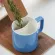 Tea Ceramic Cup with Lid Cookie Dish Flower Tea Custom Office Cup