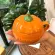 300/500ml Cute Pumpkin Ceramics Coffee Mug Milk Soup Drinking Cup With Lid Breakfast Oatmeal Mug Novelty Halloween Home