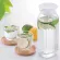 IWAKI K296KF -W Water Bottle with 1000 ml filtering bottle - White, Japanese glass, clear and very light water.