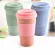 Reusable Tea Cup Mug Wheat Straw Travel Cup With Silicone Cup Lid