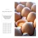 5pcs Pearl Wool Eggs Tray Wrapping Egg Holder Quakeproof Quail Eggs Box Without Paper Box Shock Proof Foam Egg Tray White
