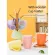 6 Pieces Set Mugs In Pure Candy Color Coffee Tea Milk Cup Set Kitchen Decolated