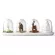 4pcs/set Spice Jar Creative Plant Animals Seasoning Bottle Salt Sugar Pepper Shaker Cooking Tools Kitchen Supplies