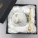 450ml Creative Coffee Ceramics Mug Nordic Style Swan Milk Tea Cup Heat-Resistant Home Office Cup Nice Packing Perfect