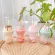 250ml Cartoon Double Plastic Sakura Cat Claw with Lid Straw Juice Milk Kid's Cup Valentine's Day Coffee Cup Tableware