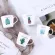 COFFEE MUG CACTUS PINEAPLE PRINTED WHITED WHITED WHITE MILFEE MUGS 400ML Ceramic Tea Cup Beer Mug