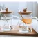 450ml Cute Cat Glass Mugs With Spoon And Lid Coffee Tea Milk Breakfast Cups With Handle Drinkware Nice S