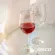 Red Wine Glass PC PLASTIC TOP RACK DISHWASHER SAFE ** price **