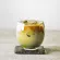 Plastic rock glass 365 ml Rock Glass PC Plastic Dishwasher SAFE TOP RACK