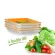 Food Preservation Tray Reusable Plastic Keeping Fresh Spainer Refrigerator Microwave Kitchen Food Storage Plates