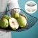 Bread Snack Display Tray Modern Fruit Bowl Metal Food Storage Containage Home Creative Iron Decoration Plate