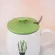 21 Colors Coffee Cups Mugs Set Ceramic Creative Avocado Heat-Resistant Mug Cartoon With Lid 450ml Office Home Drinkware