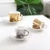 Eyoula Ceramic Coffee Cup and Saucer Animal Zebra Teacup Trend Tea Personality Mirror Europe America