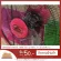 [Ready to deliver] Caribbean Electric Table Fan Model CRB16-TF1 Table Fan 16 "