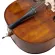 Fitness Double Bass Double Bass 4/4 Rose Wood Model MB040R + Free Bag & Carp