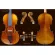 Professional students use the STV-150 violin. Violin is made of hardwood. Cao (Scott Joeoolin