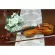 STV-900 Copy Cremonse 1715 QJ 20190566 Quality Violin + Accumulating Certificate (Scott Joe Vioalin