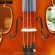 STV-750E CREMONESE 1715 QJ 20200062 Professional Violin (Scott Joeo Lin