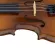 Prima P-280 Violin ไวโอลิน 4/4 เฟลมเมเปิ้ล เคลือบเงา + แถมฟรีซอฟต์เคส & คันชัก & ยางสน