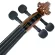 Prima P-280 Violin ไวโอลิน 4/4 เฟลมเมเปิ้ล เคลือบเงา + แถมฟรีซอฟต์เคส & คันชัก & ยางสน