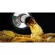 หัวเชื้อป้องกันการแยกชั้นของนํ้ามันเบนซิน CRC Fual Stabilizer 474 ml.