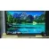 OLED LG LG65 inch 65E8PTA Olede Ultral Hashi 4K Digital Smart Smart TV WiFi Build In LAN Dolbyvision Sound