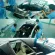 Sunroof Car Sticker Air Reese Decal Emblems License Auto Black Roll Truck Wrap Vehicle Roof Wrapping Film Decor