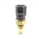 COOLANT Water Temprature Sensor For Volvo V70 V50 S80 S40 C30 Mazda 3 5 6 CX-7 F62Z-12A648-AA LF01-18-840A 8E5A-12A648-AA