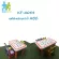 ABC chair set with children's desk with ABC pattern chair