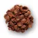 1 kg of Venosa Choco Shell Choco Chet Choco Shells Breakfast Cereals, Healthy and Natural Koko Krunch Snack 1KG