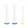Marcus & Marcus Replacement  ToothBrush Heads