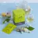 Green tea mixed with jasmine boxes, size 2.5 g x 10 tea Bags, net weight 30 grams